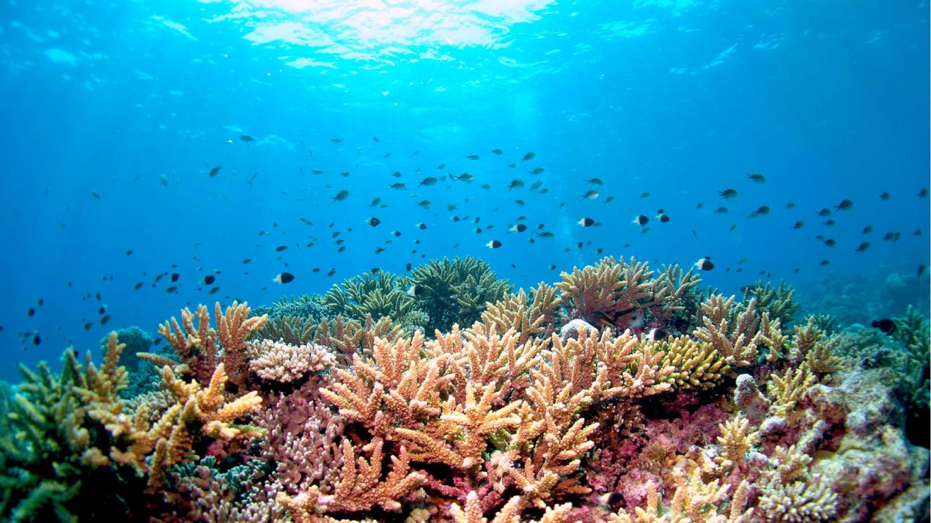 410 000sq km of marine area will be protected by the debt-for-conservation swap.