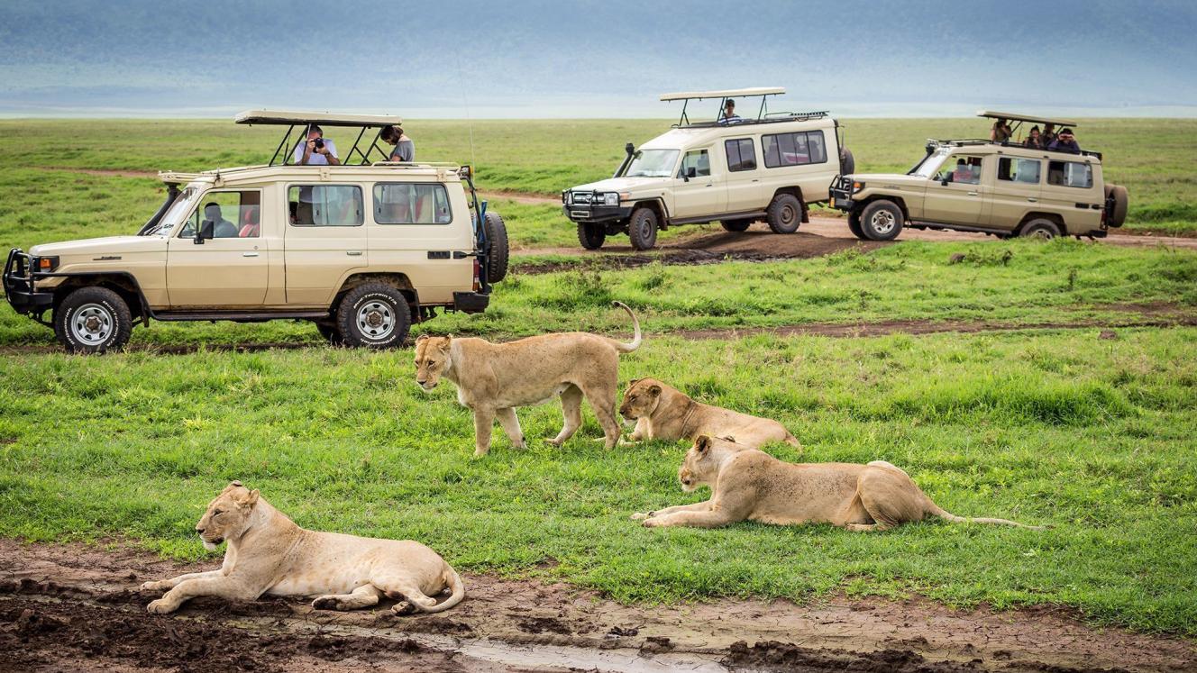 The Regional Commissioner of Arusha hopes to make road travel easier for tourists through vehicle identification.