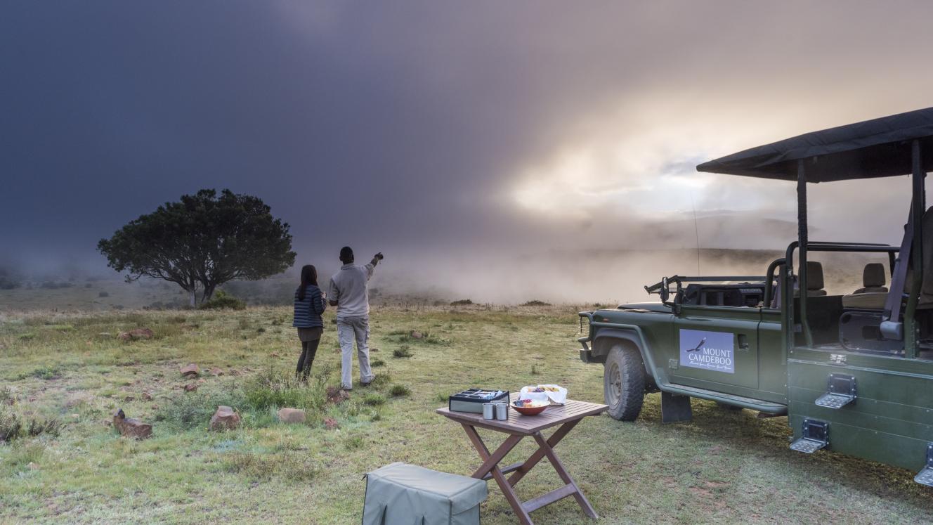 Mount Camdeboo Private Game Reserve will introduce elephant and lion in 2018 to become a Big Five reserve.