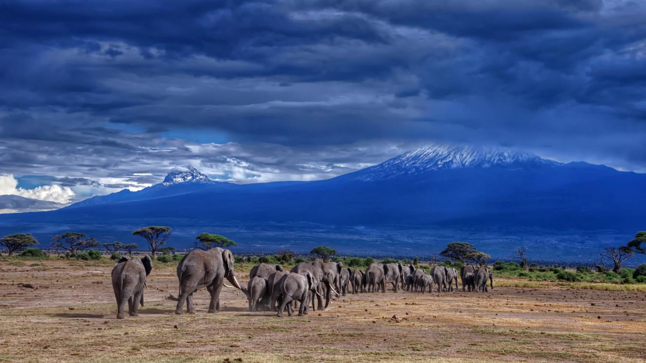 Go on an adventure in East Africa.