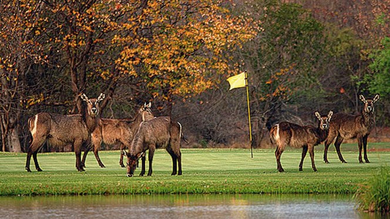 Southern and Eastern Africa is home to a number of beautiful golf destinations.