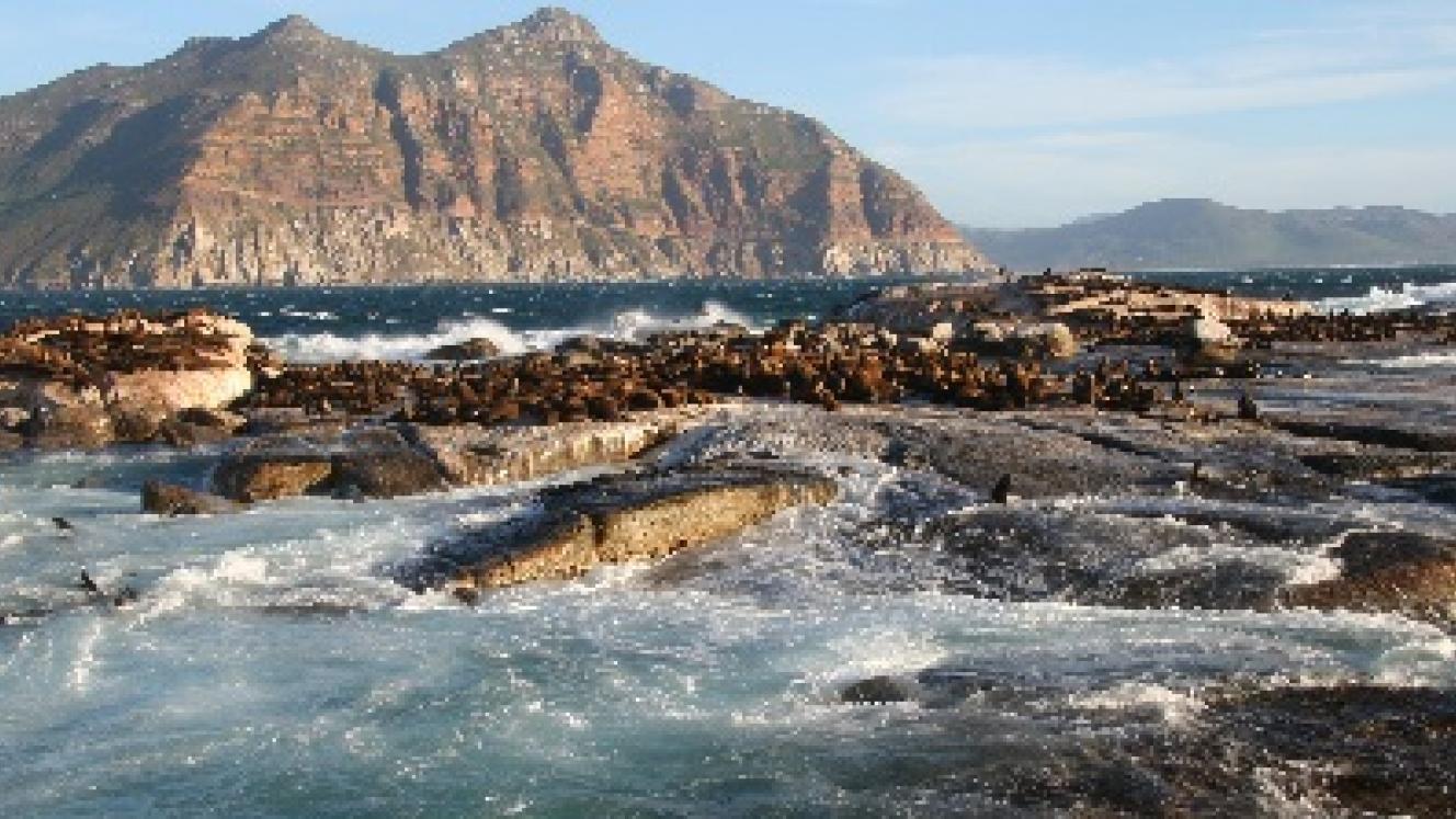 Marine conservation plays an integral part in protecting and growing South Africa’s tourism sector.