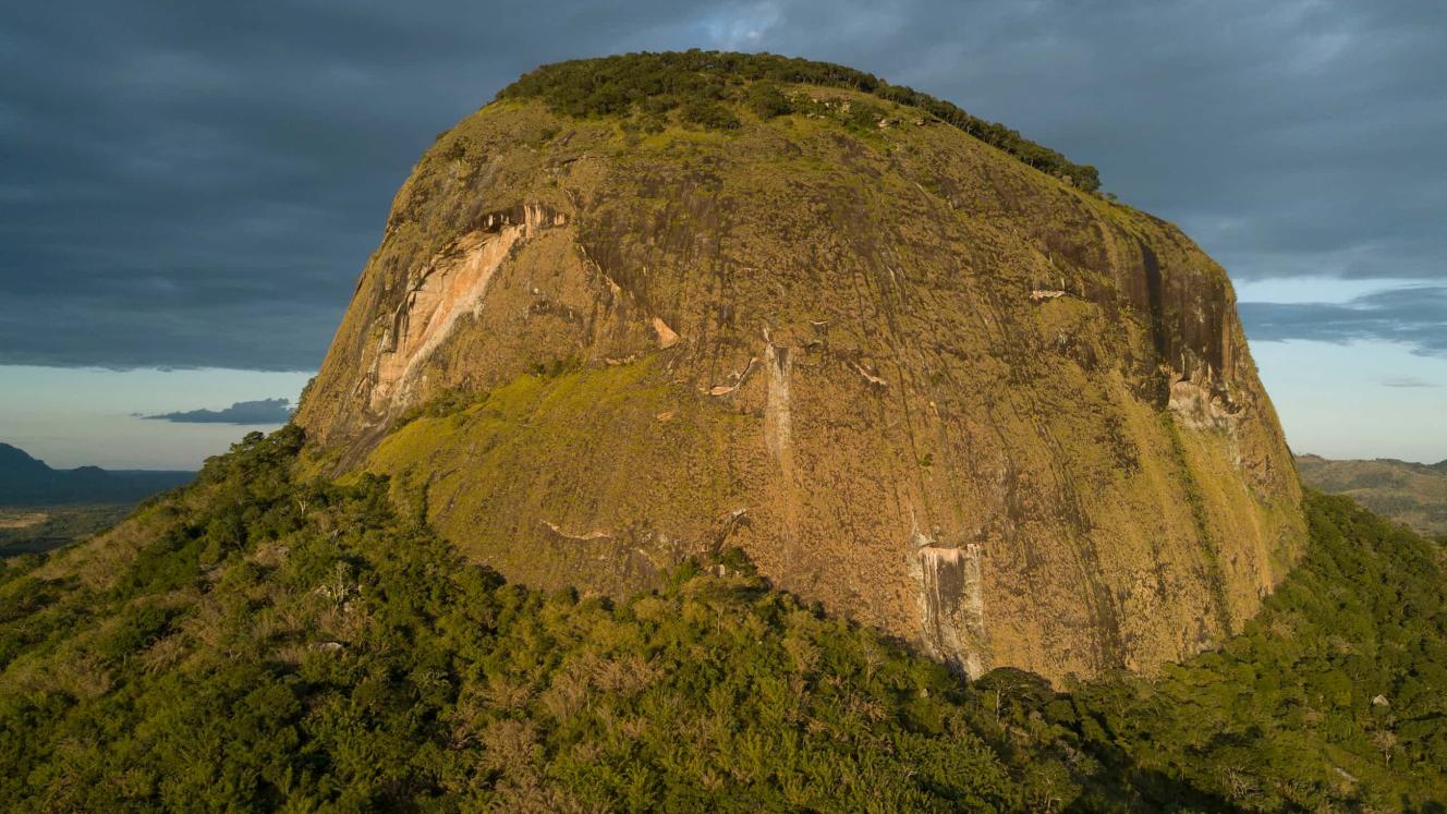 A secret rainforest at the heart of a volcano has been discovered in Mozambique.