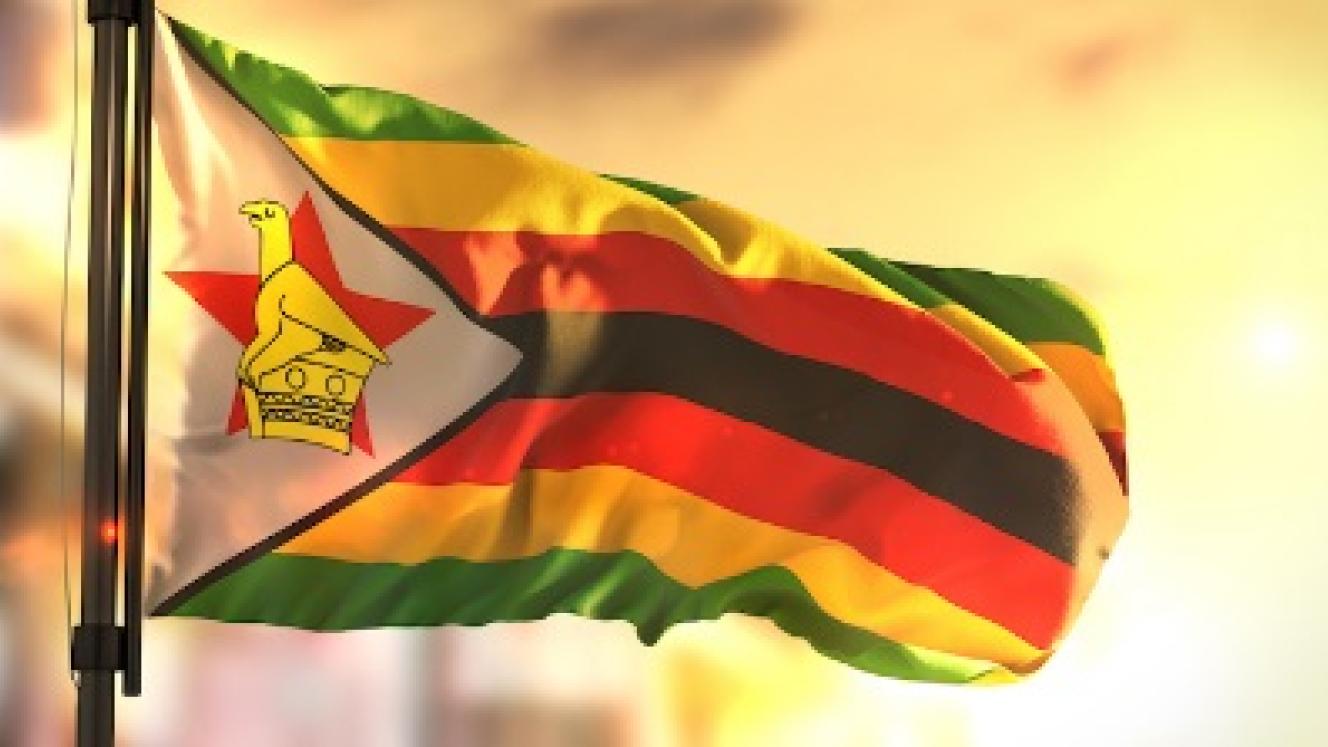 Zimbabwe Tourism Authority has appointed VFS Global to market the country as a preferred tourist destination in India and the GCC region.