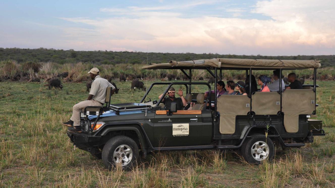 Wild Hospitality launches unique safari experiences at its lodges.