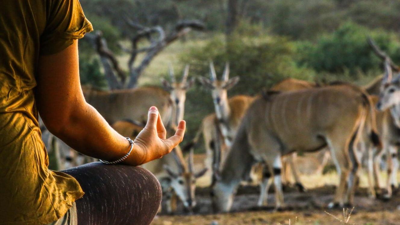 Great Plains Conservation will host two yoga retreats at the end of the year. Credit: Heather Bonker.