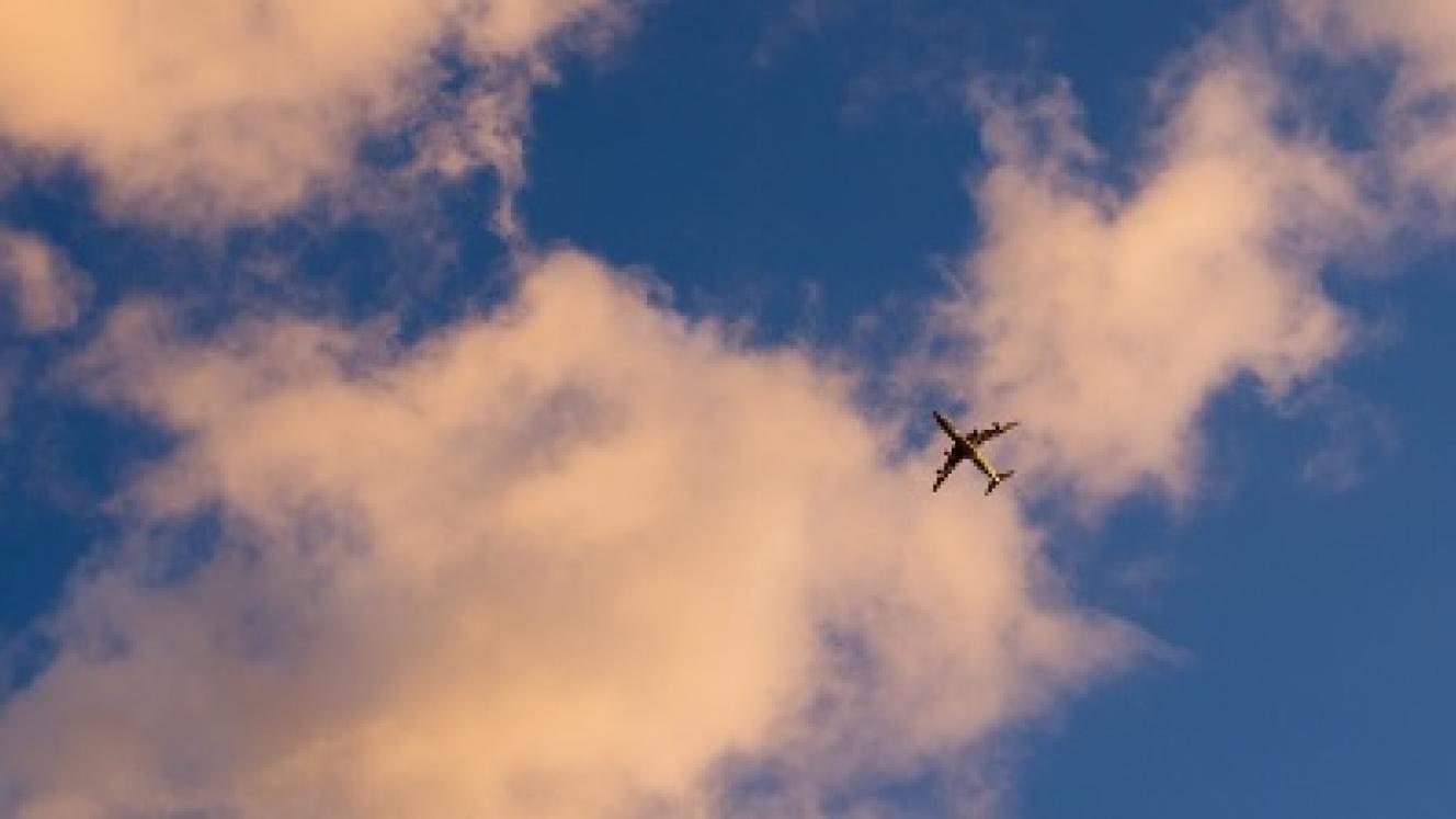 Zambia has seen an increase in both international and domestic flights.