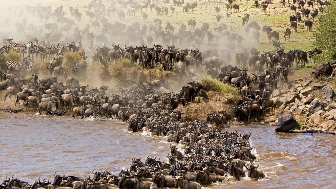 Mobile camps are becoming a popular way of seeing the wildebeest migration.