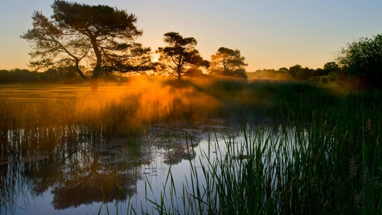 Ernest Mokganedi, Transfrontier Conservation Areas (TCFA) Director of the Department of Environmental Affairs, has died.