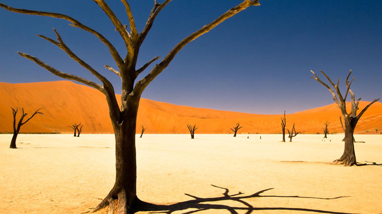 NTB workers have listed a number of grievances against top management at the organisation.