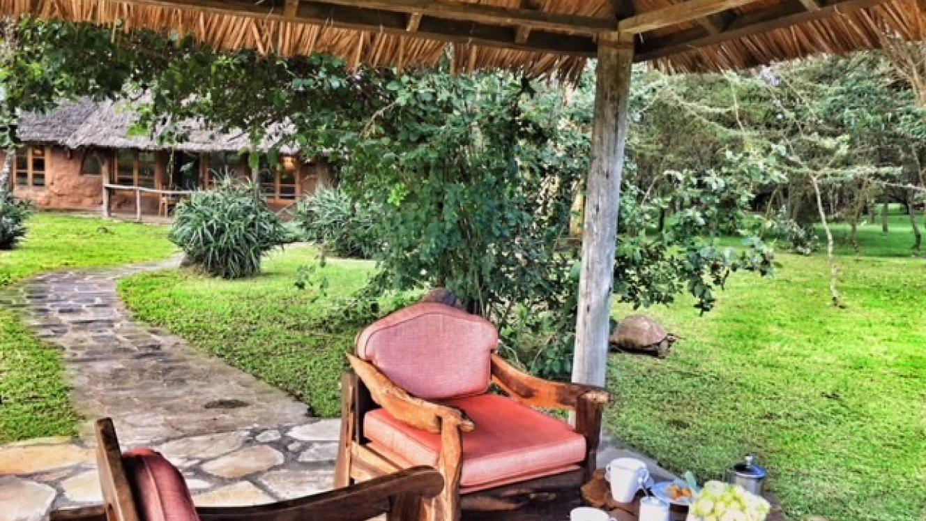 Chui Lodge and Kiangazi House have new offerings for guests.