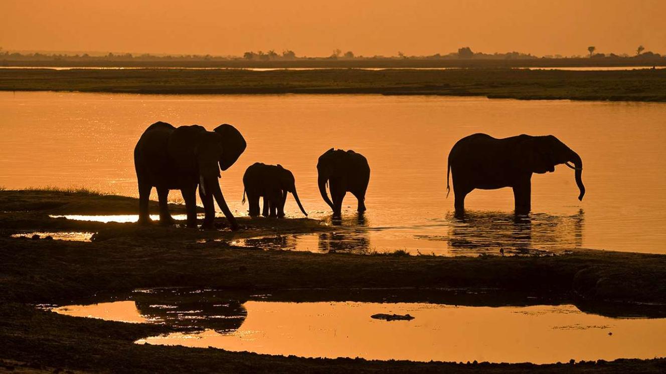 A new hotel is set to be built in Chobe National Park.