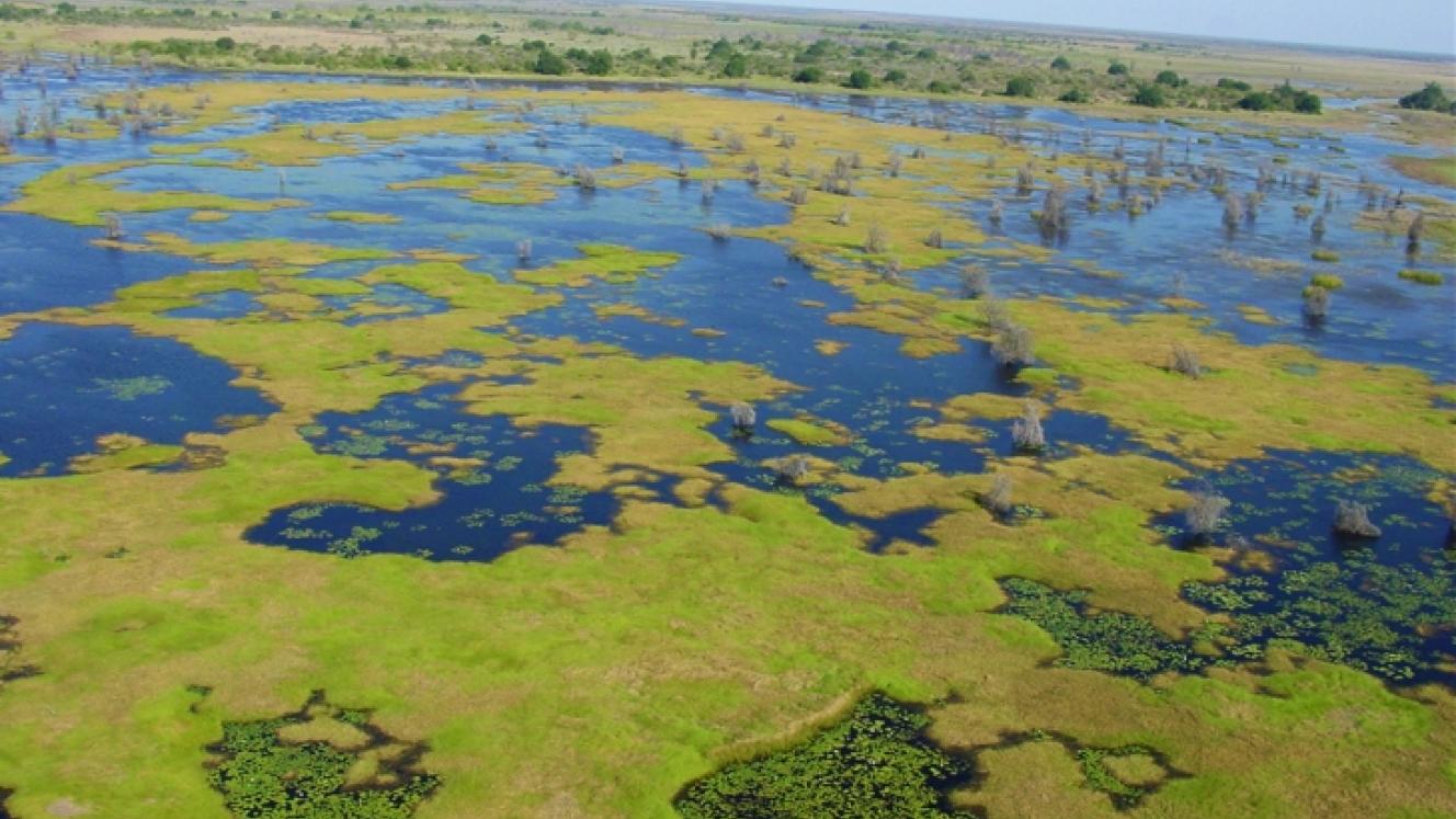 The Peace Parks Foundation is strengthening efforts in the Great Limpopo TFCA.