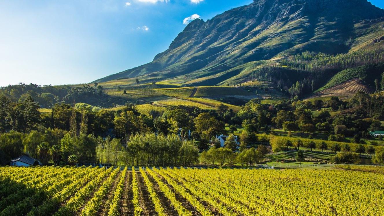 Minister Hanekom says Stellenbosch is a growing destination for both business and leisure.