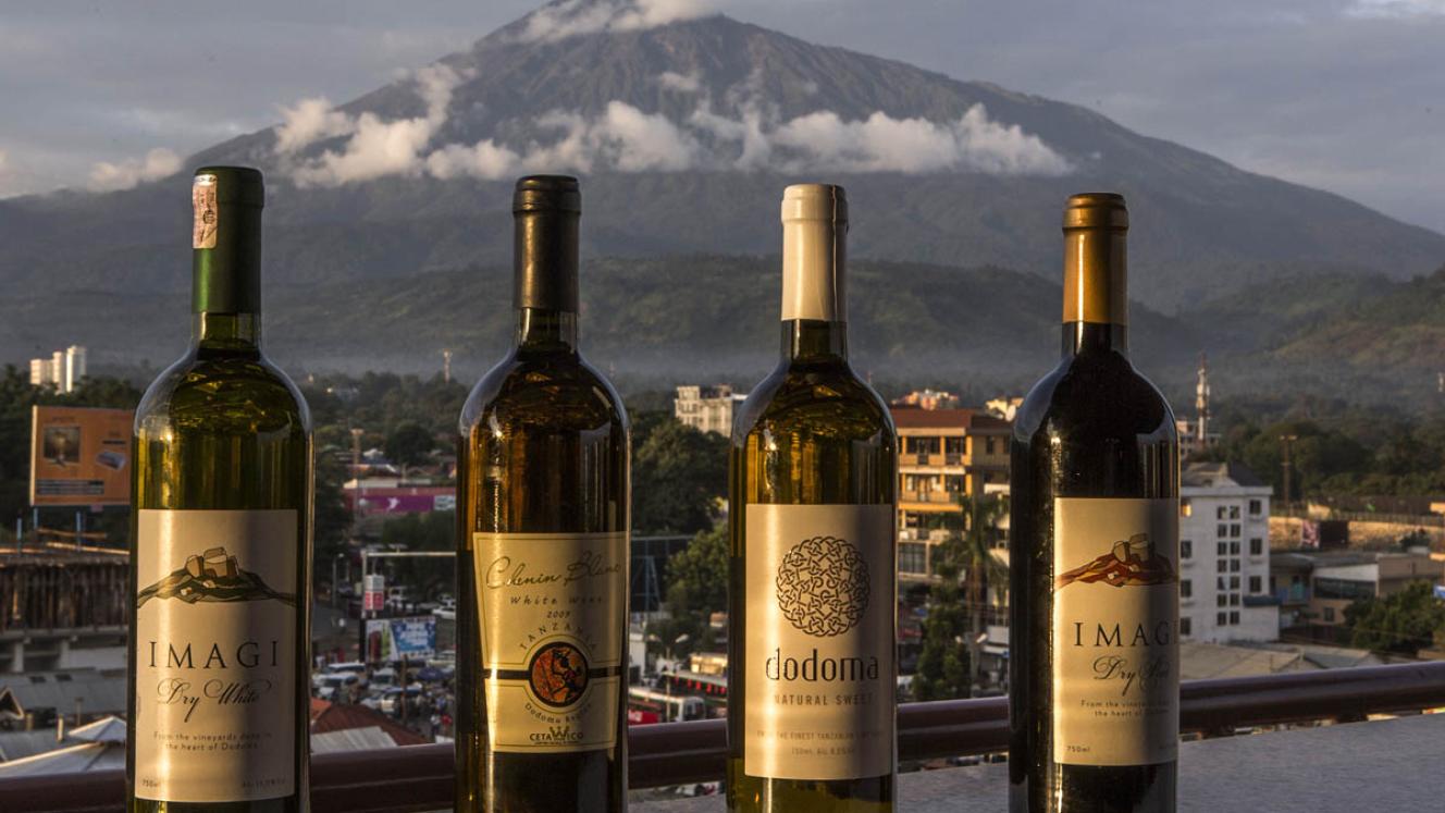 The Dodoma Wine Festival will take place in November to showcase the region’s wine and other attractions.