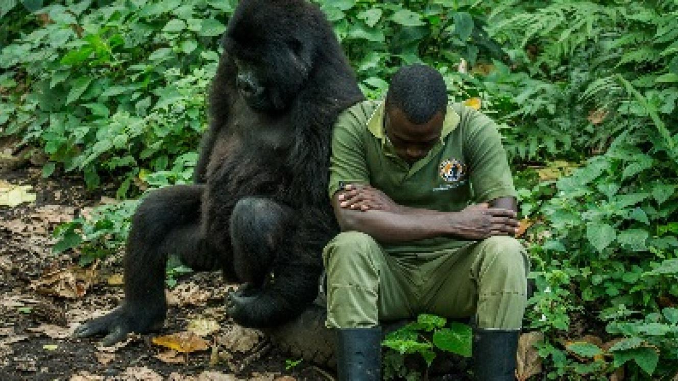 World Ranger Day 2018 places special focus on the extent Africa’s rangers go to protect the wilderness and wildlife.