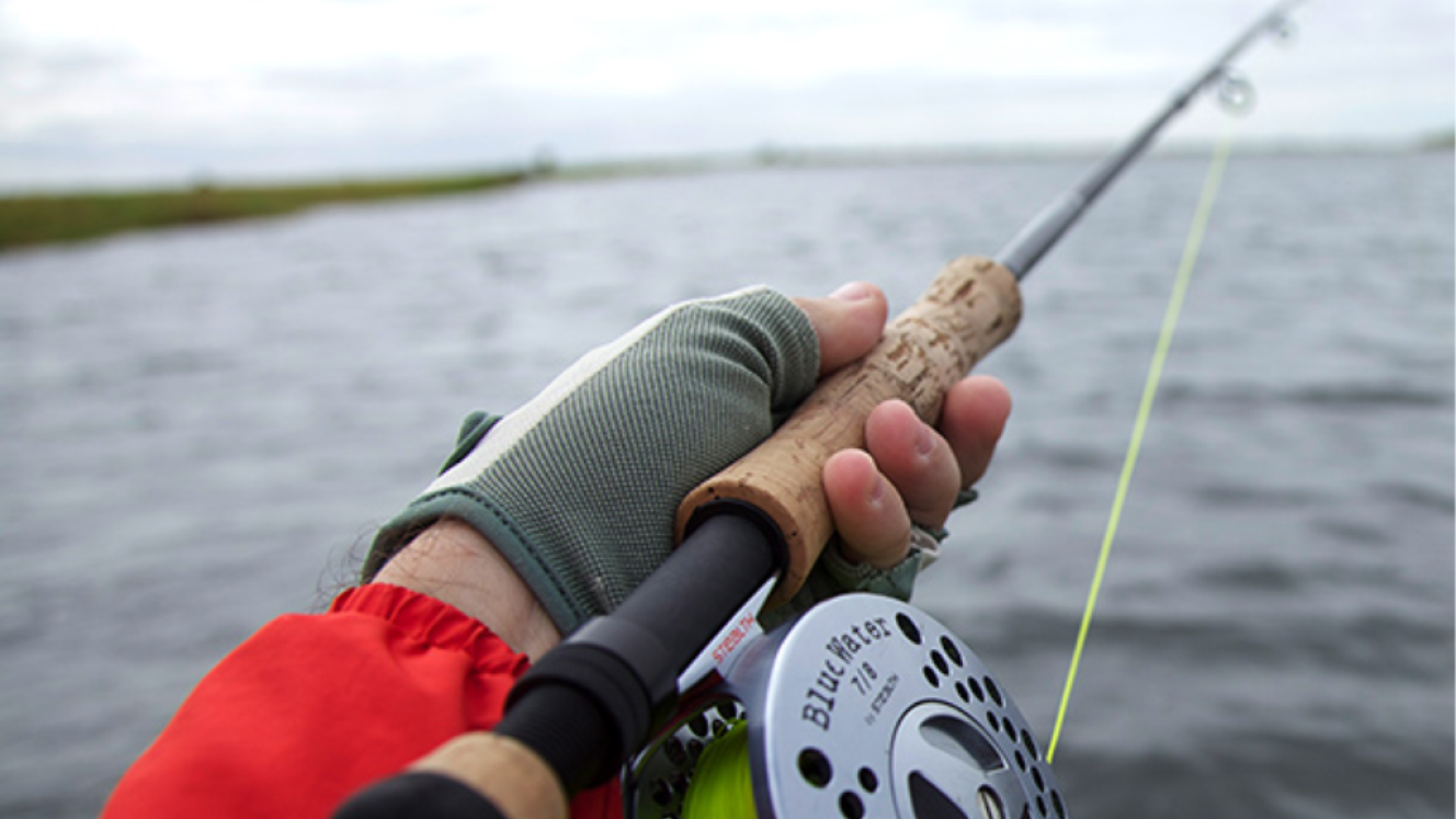 Tourism Update finds out when and where to go for those looking for the ultimate Zambian fishing experience.Credits: Shackletons.