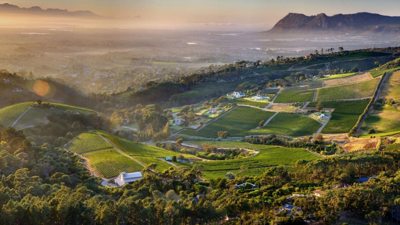 Southern Africa 360 Exclusive Tours launches the Constantia Zip and Sip, aimed at both wine and adventure lovers.