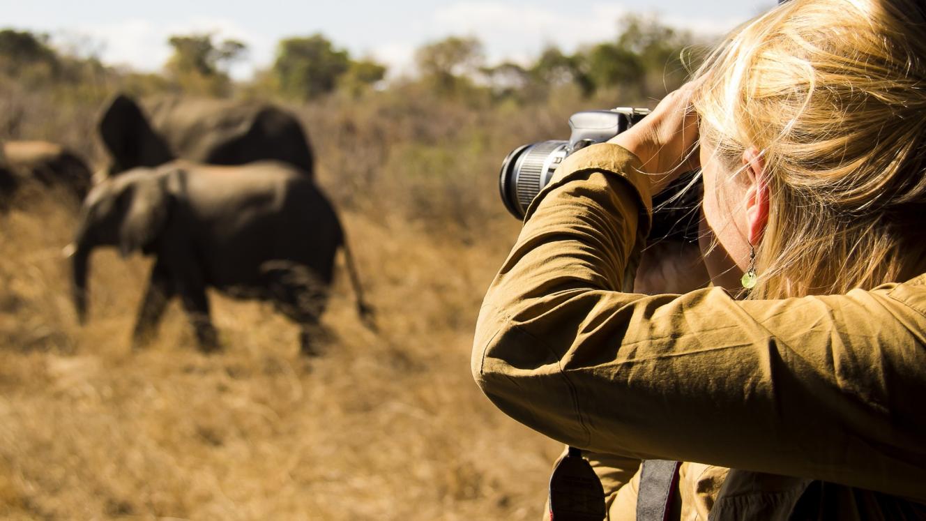 Photographic safaris continue to gain momentum. 