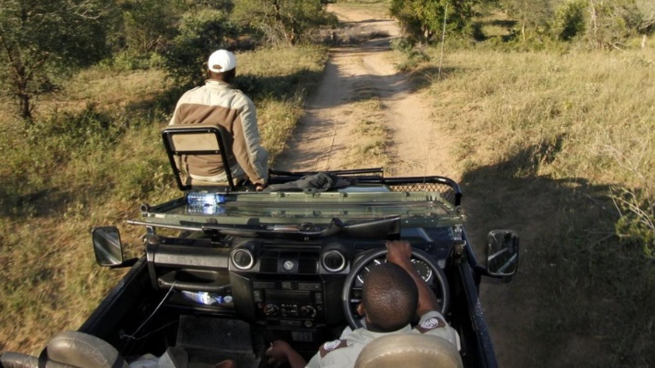 Fair Trade Tourism consortium will be developing responsible tourism criteria for the Greater Kruger area, to promote the wildlife economy and associated socio-economic development.
