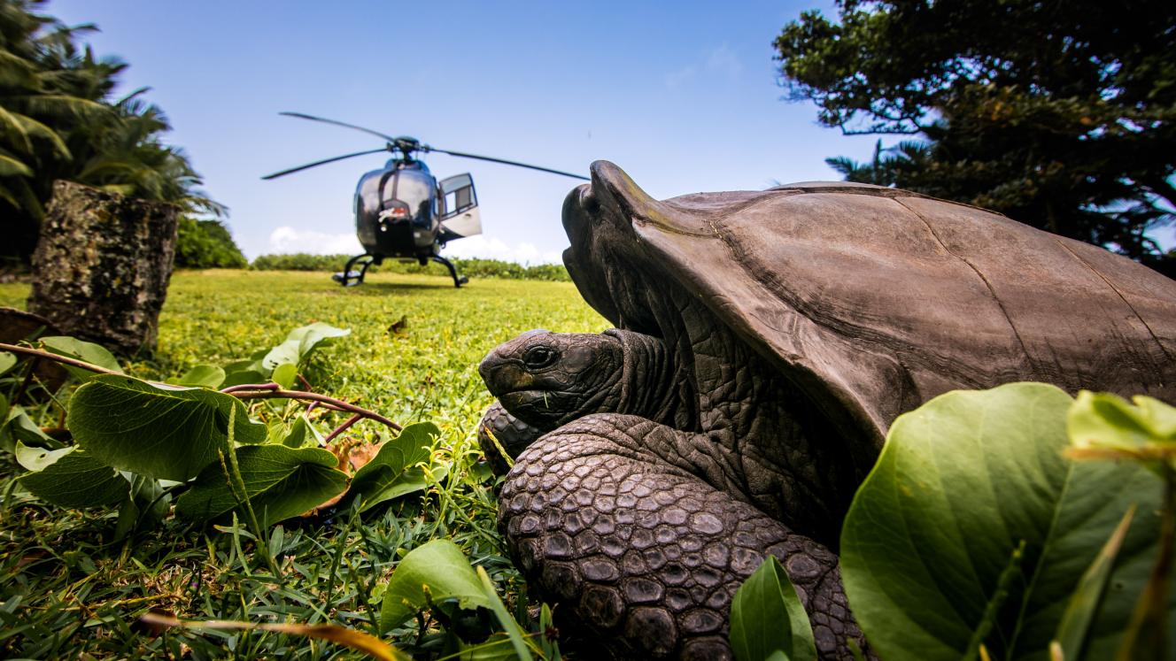 Hilton Seychelles has committed to restoring and protecting the environment.