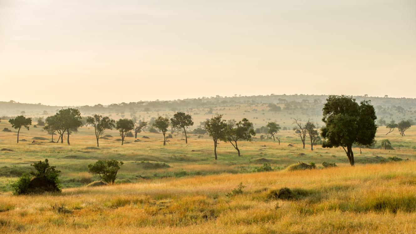 Luxury lodge welcomes guests to the Serengeti.