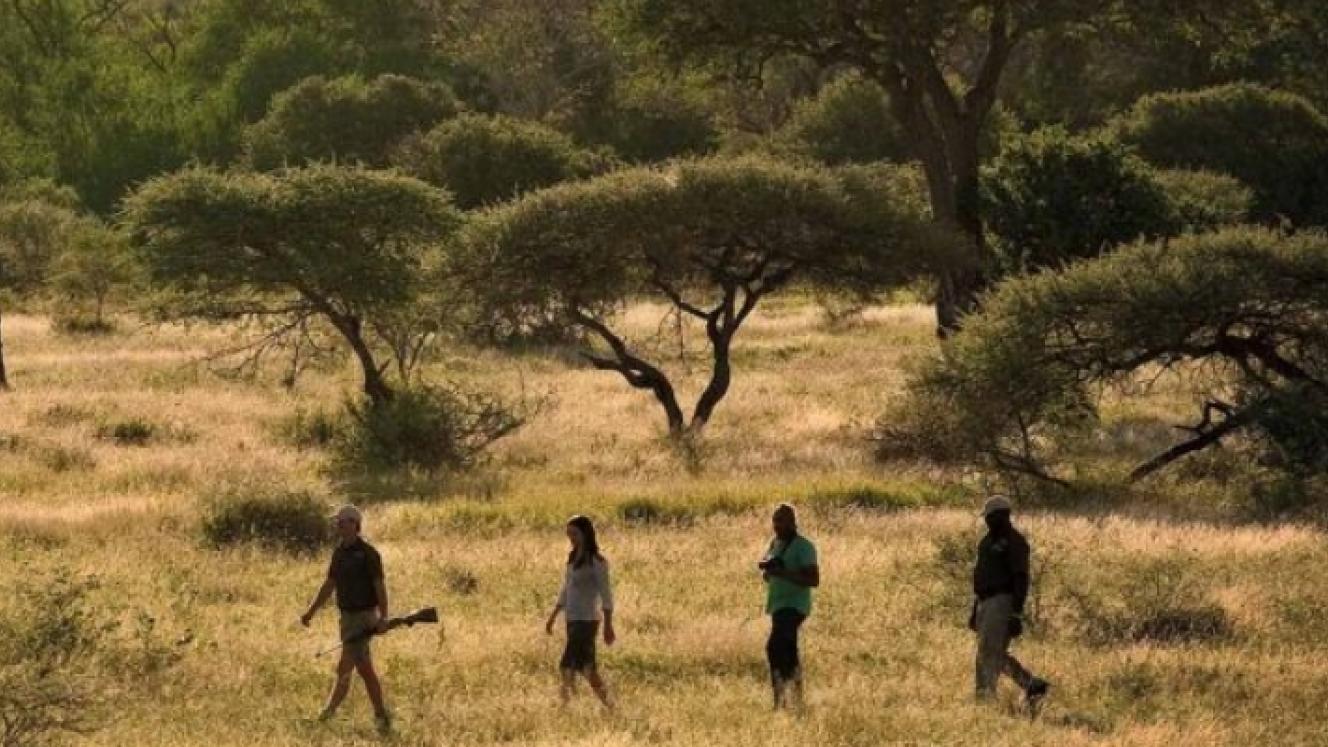Shishangeni by BON Hotels in the Kruger National Park has introduced bush walks for guests. Credit: Lion Sands Game Reserve.