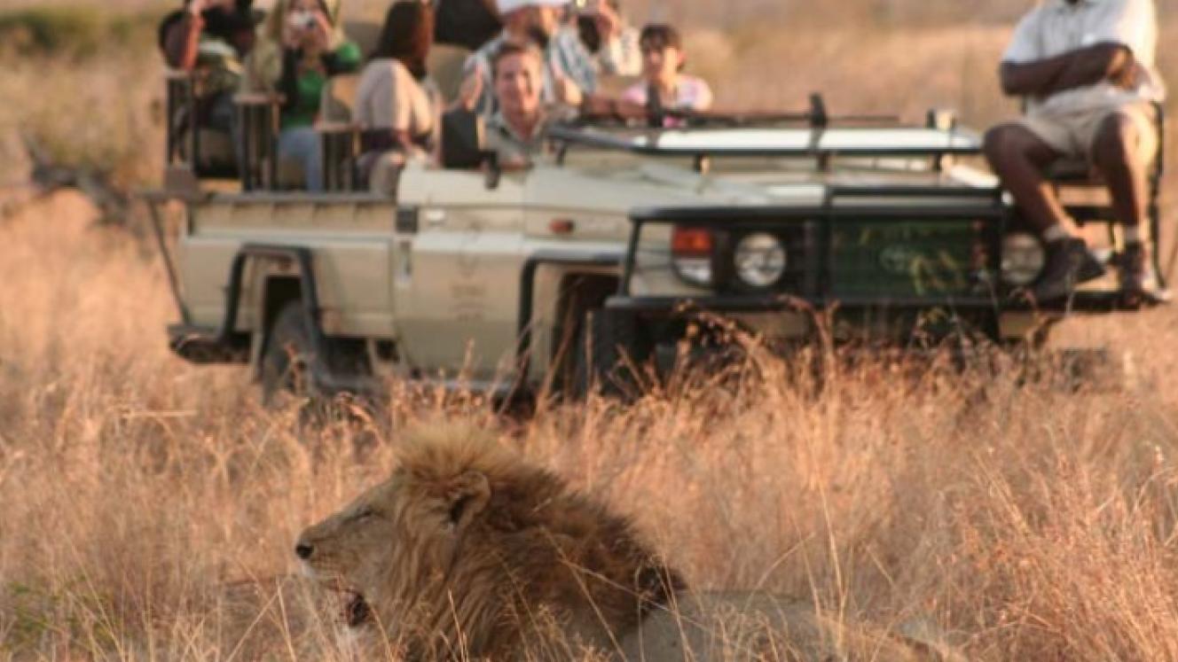 Tintswalo Safari Lodge is catering for avid photographers with its latest photography promotion.