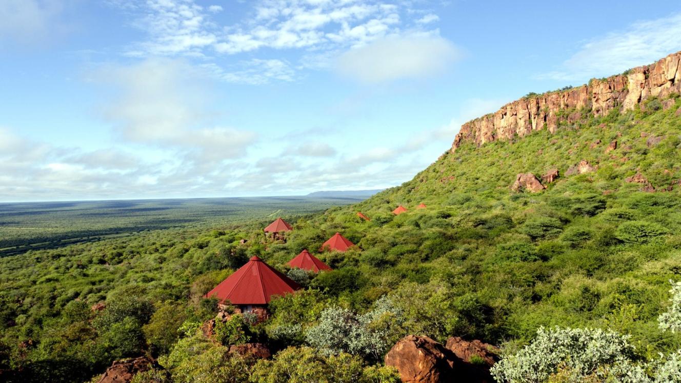 Birders can enjoy over 300 species of birds in the Waterberg.