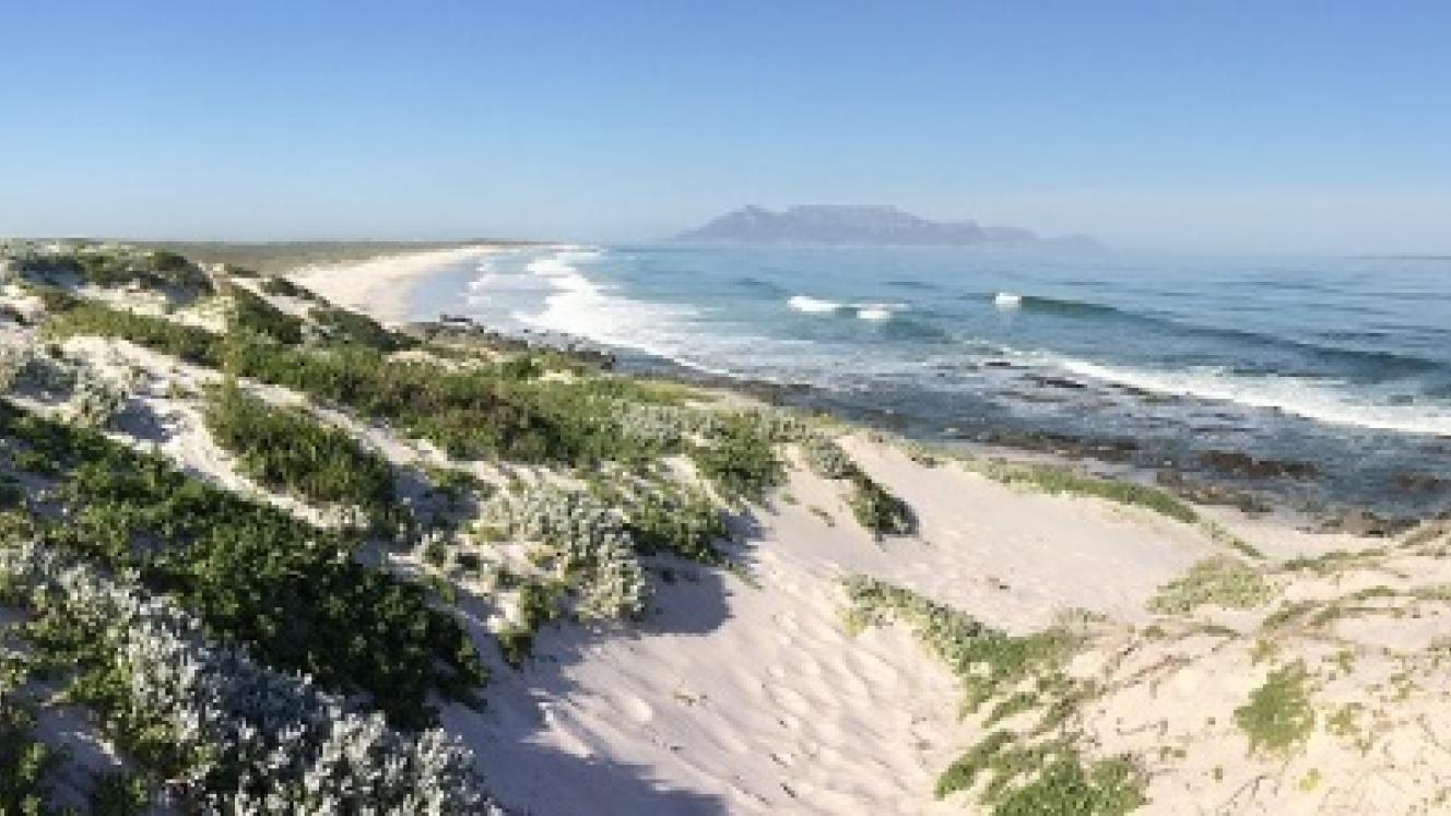 Green Coast Status awarded to Blaauwberg Nature Reserve puts the coastline back on the tourism map. 
