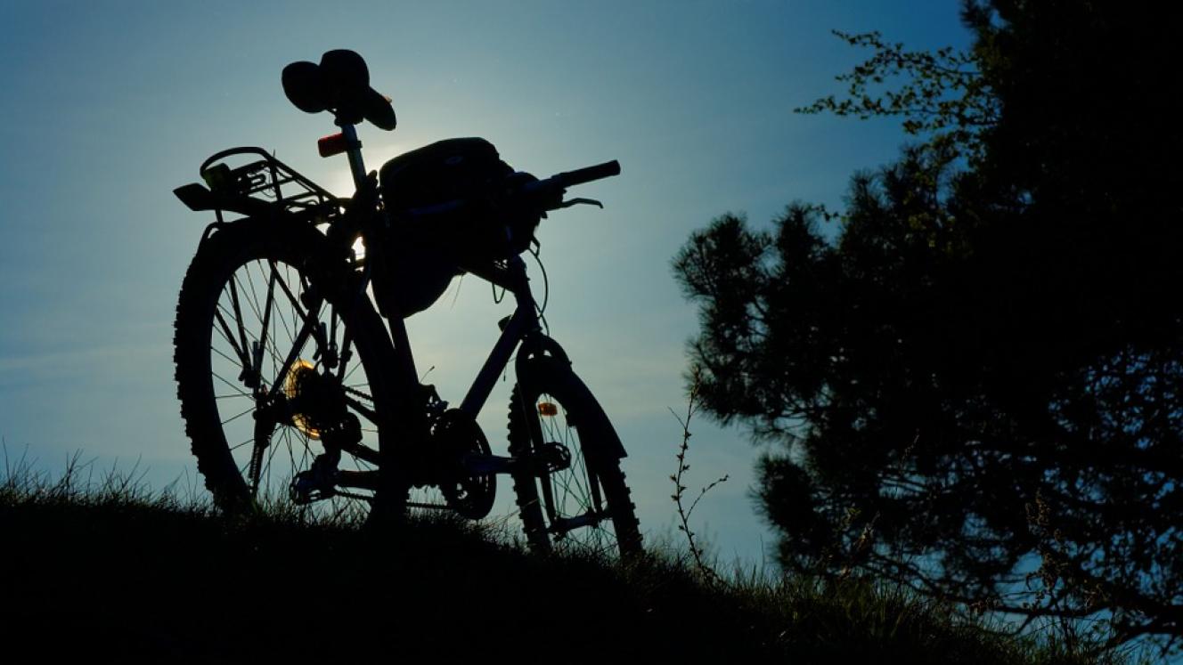 The seven-day tour sees guests cycle through forests, along rivers and through wildlife reserves.