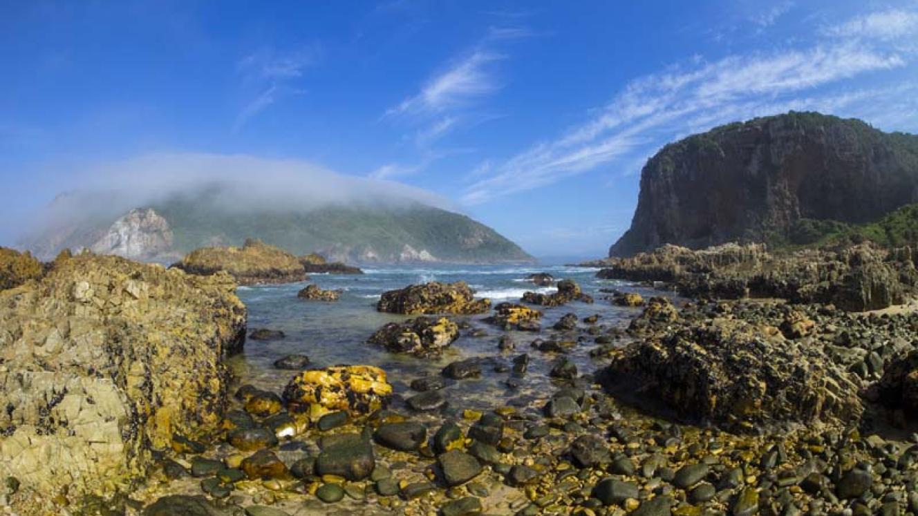 Knysna’s Featherbed Private Nature Reserve was almost completely destroyed in June last year. Credit: Featherbed Co.