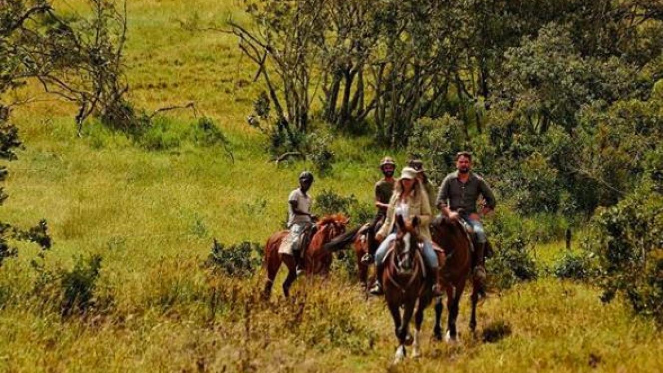 A seven-night riding safari offers guests luxury game viewing from horseback. Credit: Borana Lodge.