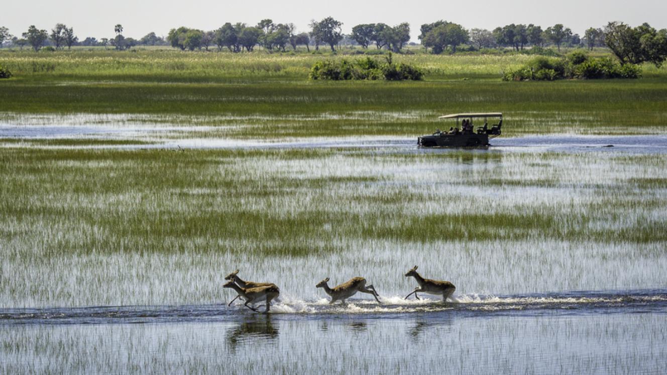 The Okavango Delta offers adventure, wildlife and spectacular views year-round. Credit: Dana Allen, Wilderness Safaris.