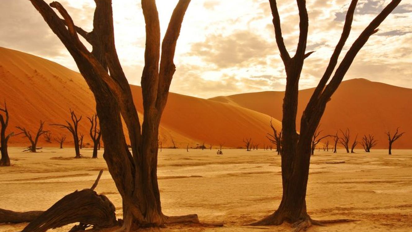 The Desert Grace will open in November in the Namib Desert.