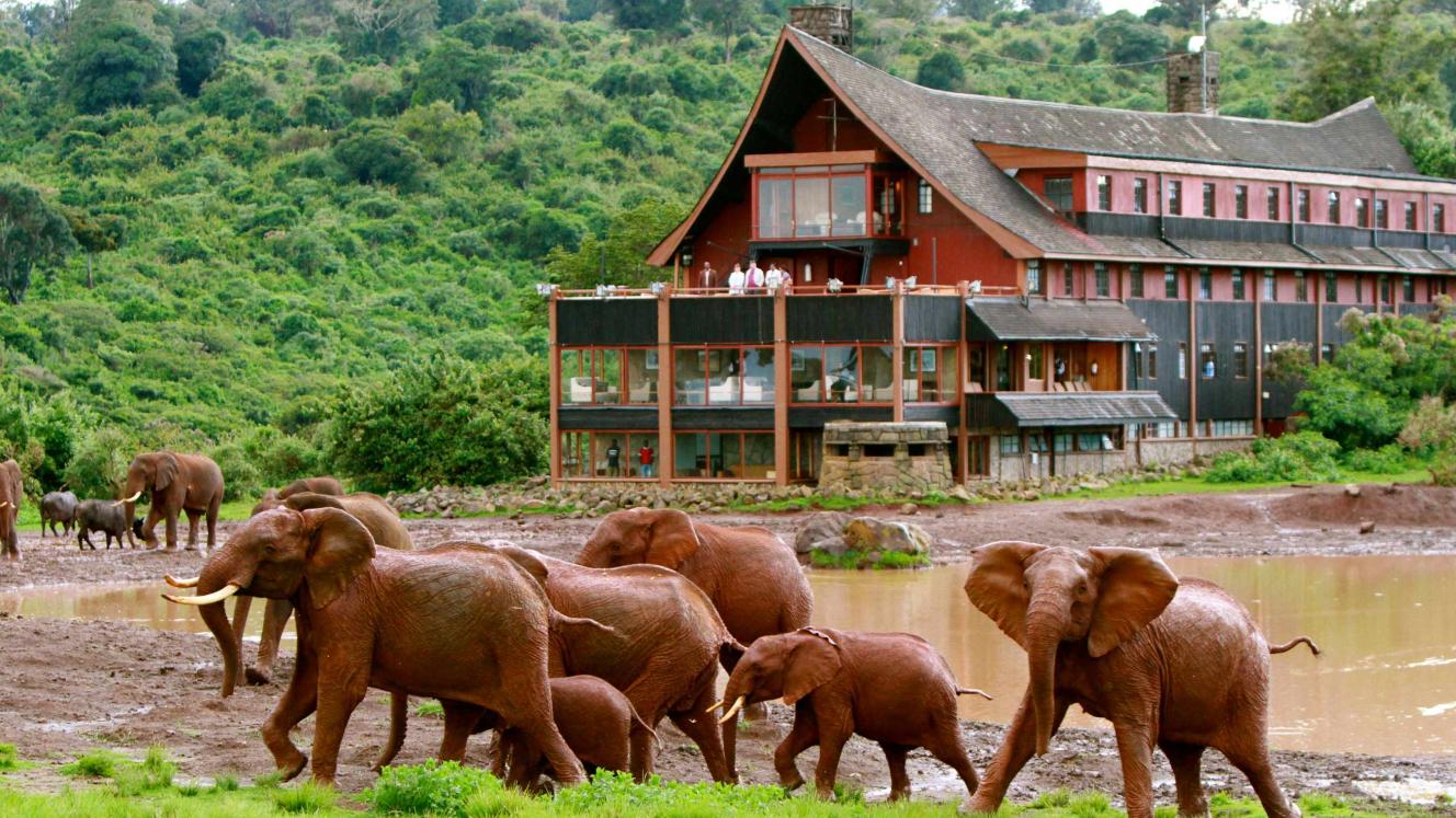 The small airstrip will service a daily flight, connecting the capital with popular destinations near Nyeri such as The Ark in Aberdare National Park.