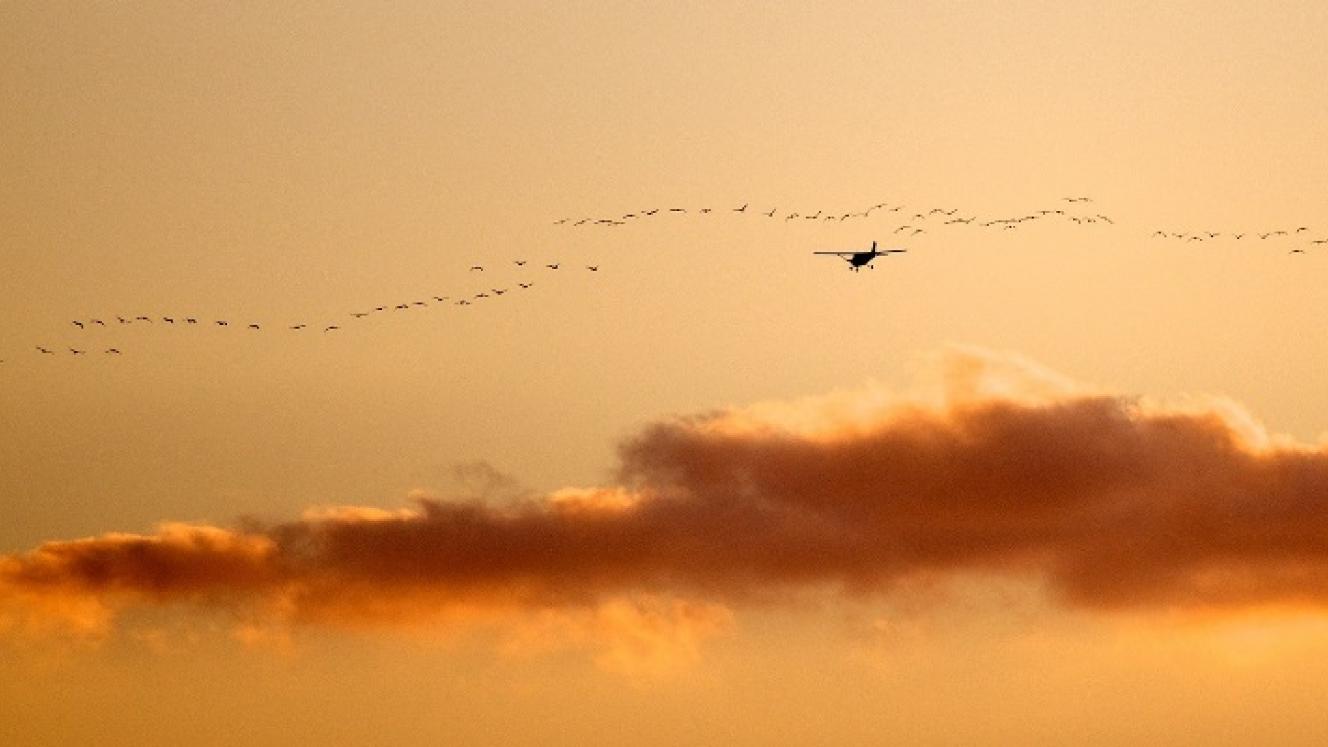 A new interline service by AirKenya and Aerolink Uganda will afford guests an opportunity to combine the Maasai Mara with national parks and authentic adventures in Uganda