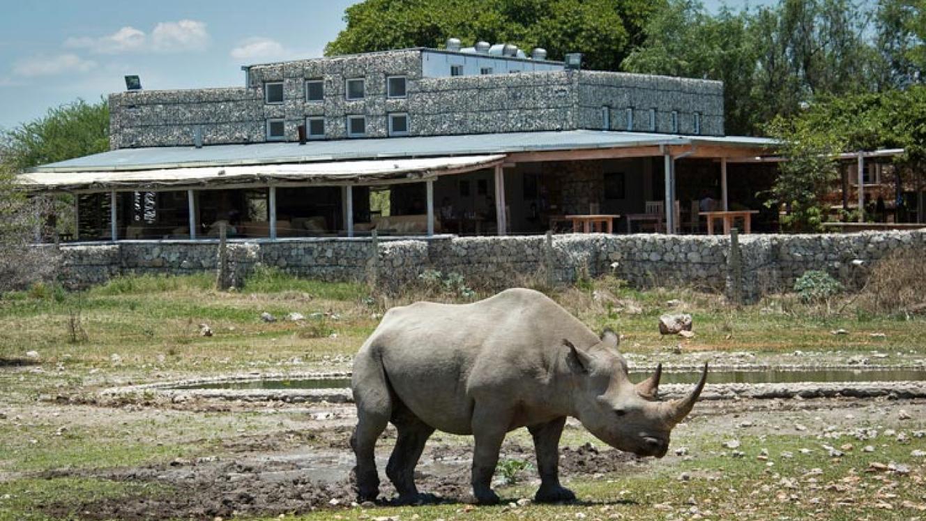 2019 to see opening of Andersson’s Camp.