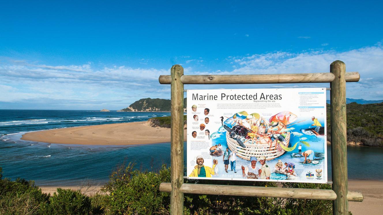 South Africa’s Cabinet approved a network of 20 Marine Protected Areas last week, a move that will positively affect marine eco-tourism. Credits: Marine Protected Areas South Africa.