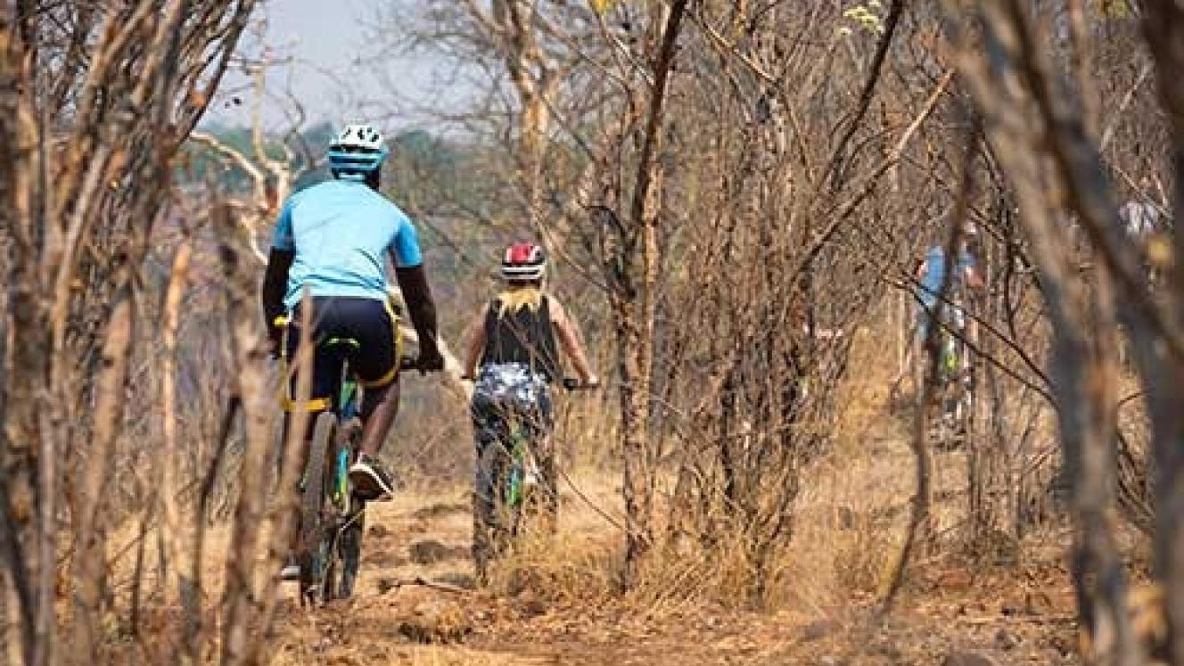 Wild Horizons recently introduced bicycle tours in Victoria Falls, Zimbabwe, visiting either an open-air market or the Zambezi Nature Sanctuary and Crocodile Ranch. Credits: Wild Horizons.