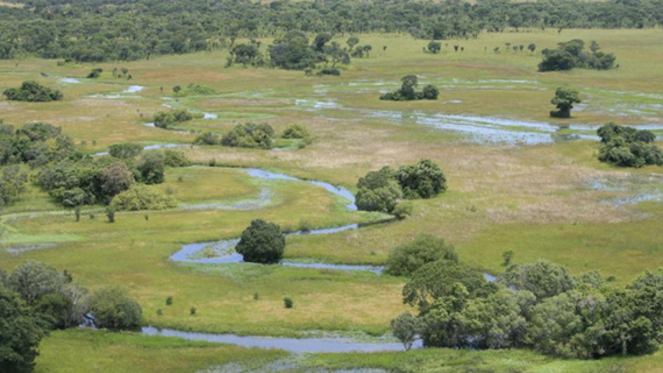 Hundreds of elephants to be moved to Kafue, with an expected boost to tourism.