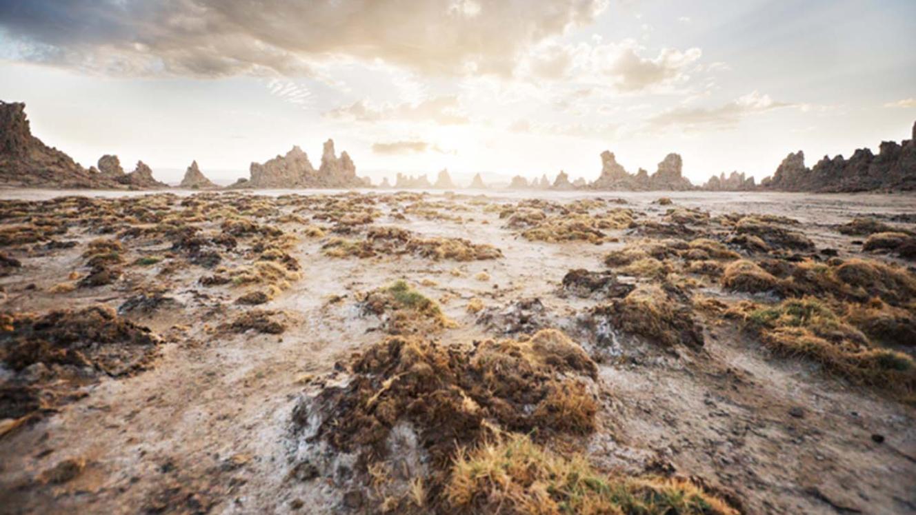 Djibouti will make its debut at WTM Africa, showcasing its offerings for the first time as the country’s government looks to tourism to boost its economy.