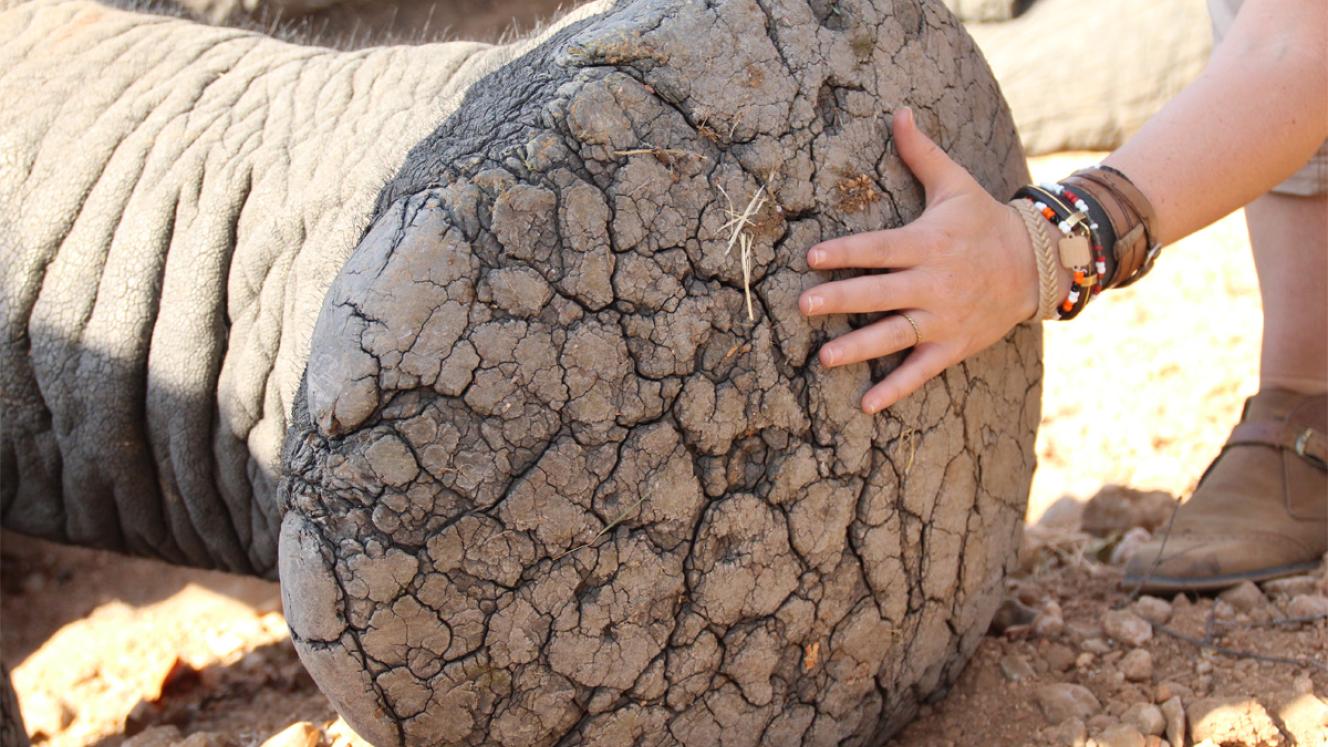 Credit: Blue Sky Society Trust