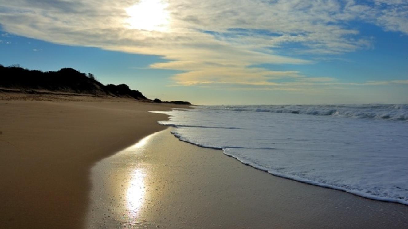 Gaza in Mozambique raked in US$6.3 million in tourism revenue in the first nine months of this year, receiving more than 96 000 tourists.