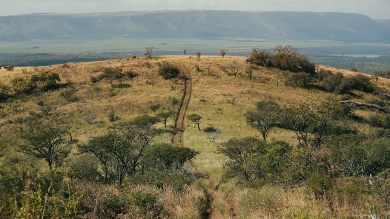 Somkhanda Community Game Reserve in KwaZulu Natal announces its latest community-driven development, the Somkhanda Community Conservation Centre. Credits: Milton Media.