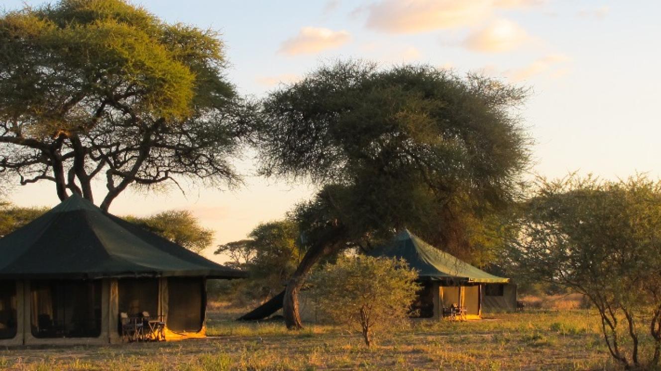 Corfield Camps in Tarangire National Park, Tanzania, comprises five tents. 