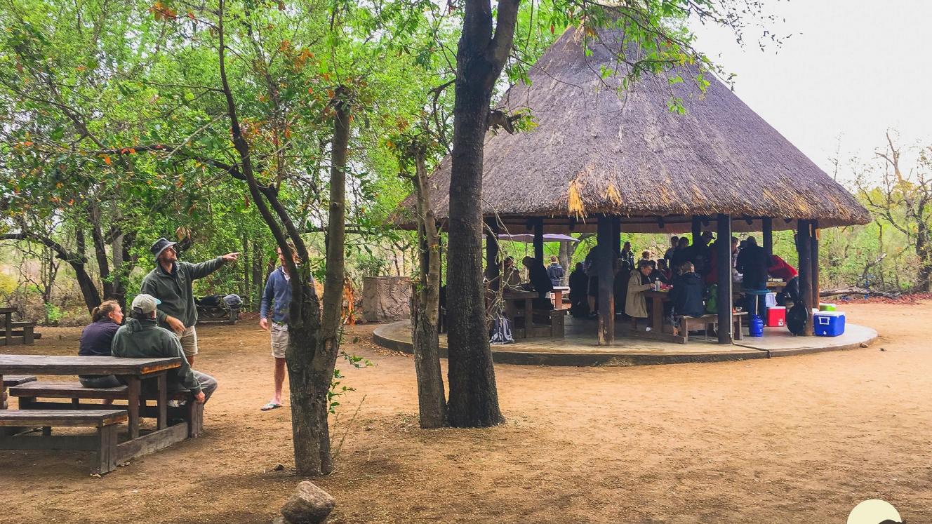 Three-phased renovations to uplift the Kruger picnic spot.