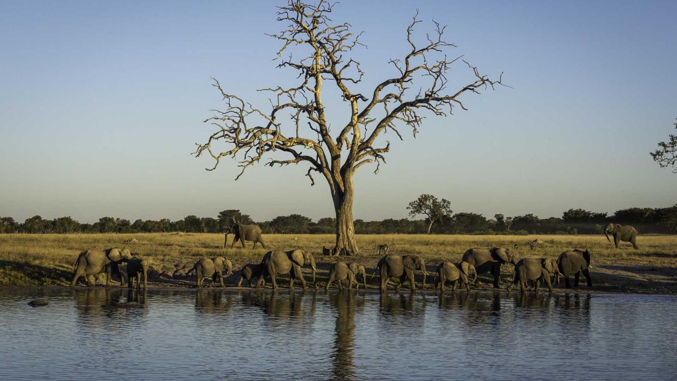 Credit: Wilderness Safaris