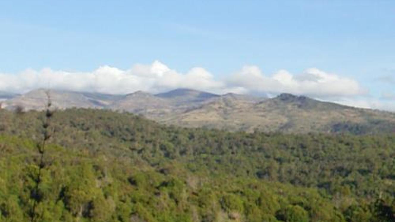 Trans-Nzoia County in Kenya has undertaken a project to convert 1920s settler homes into tourist attractions in a bid to boost tourism revenue. Credits: Kenya Wildlife Service. 