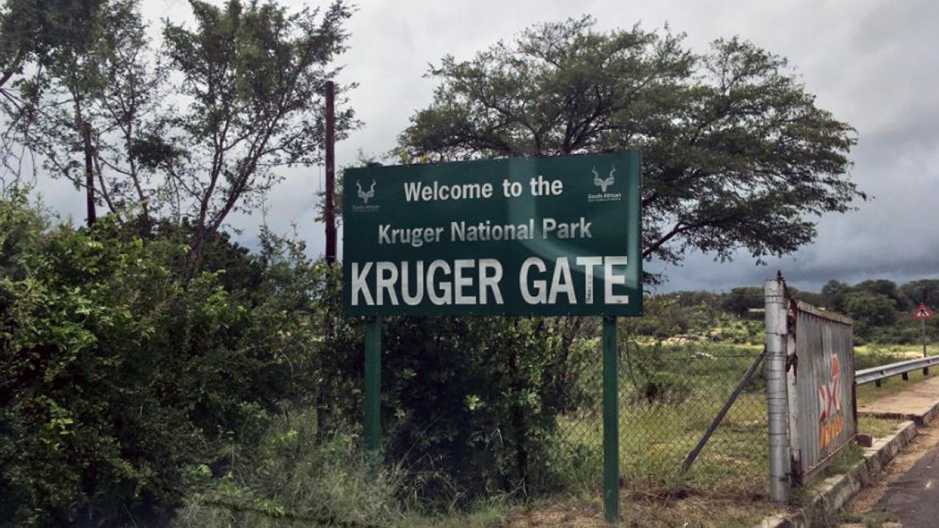 Fair Trade Tourism has praised the visionary 10-year Management Plan for the Kruger National Park, urging tourism players to ensure that local communities benefit. 